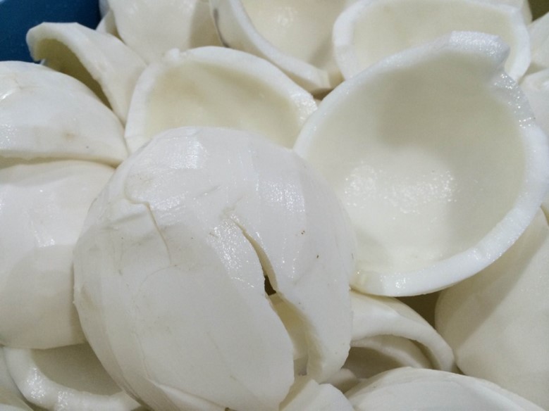Coconut pulp / White Kernel