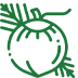 Coconut Daily Produce