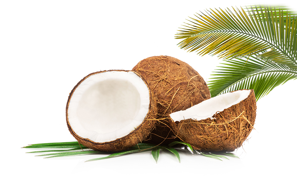 B&M Cocopalm