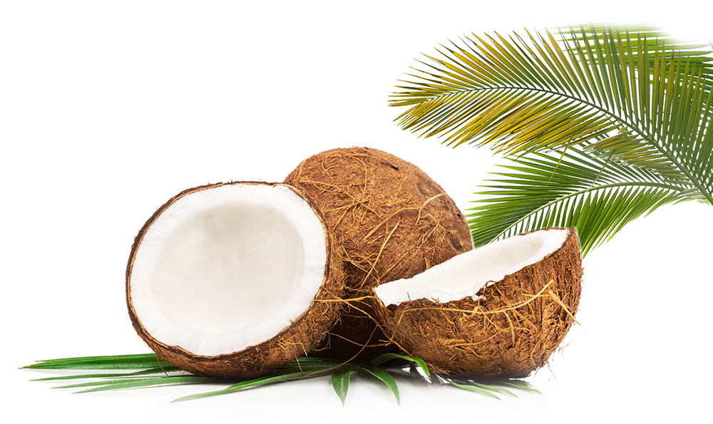 B&M Cocopalm